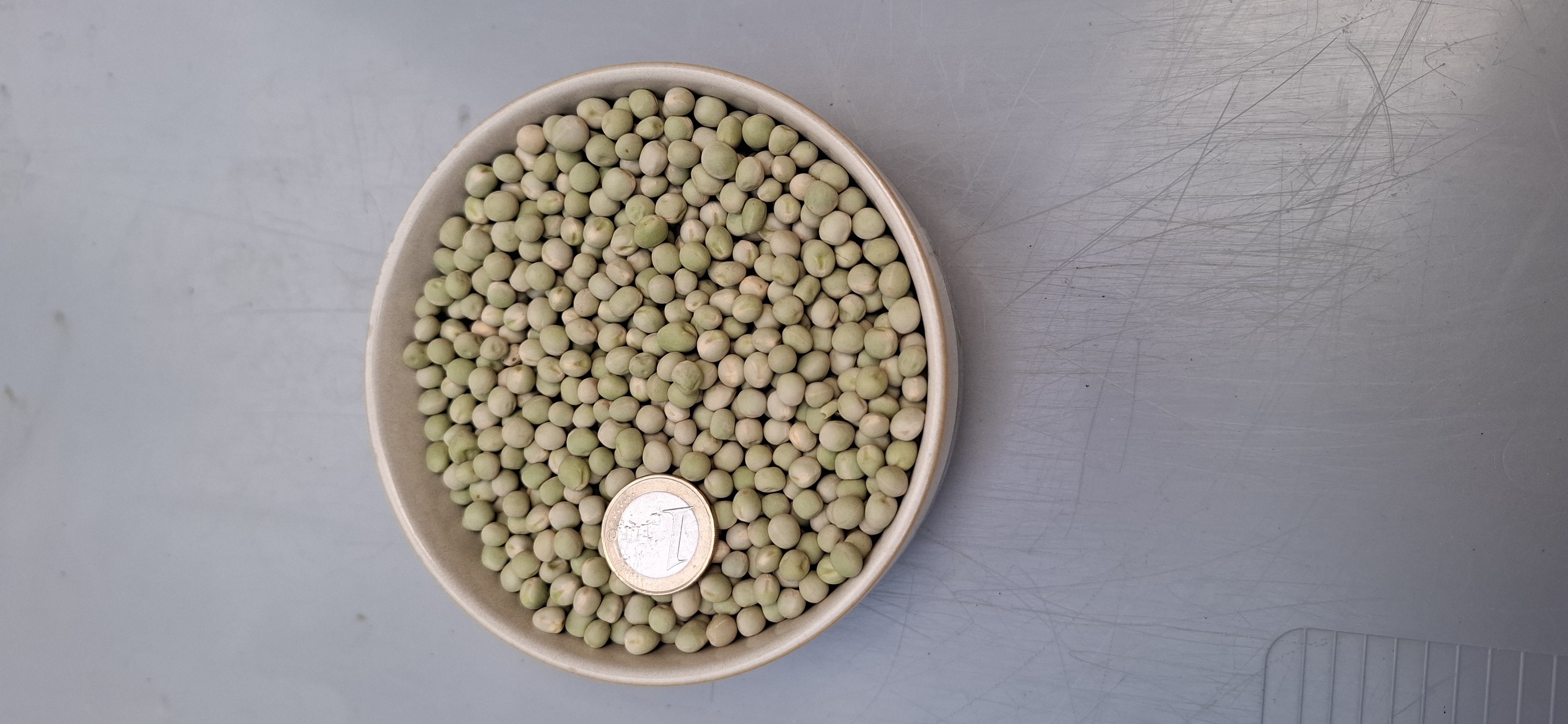 Hrach affyla na microgreens drobnozrnný 5 kg